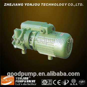 Single stage rotary Vacuum Pump