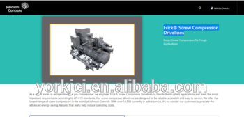 Frick Screw Compressor Drivelines
